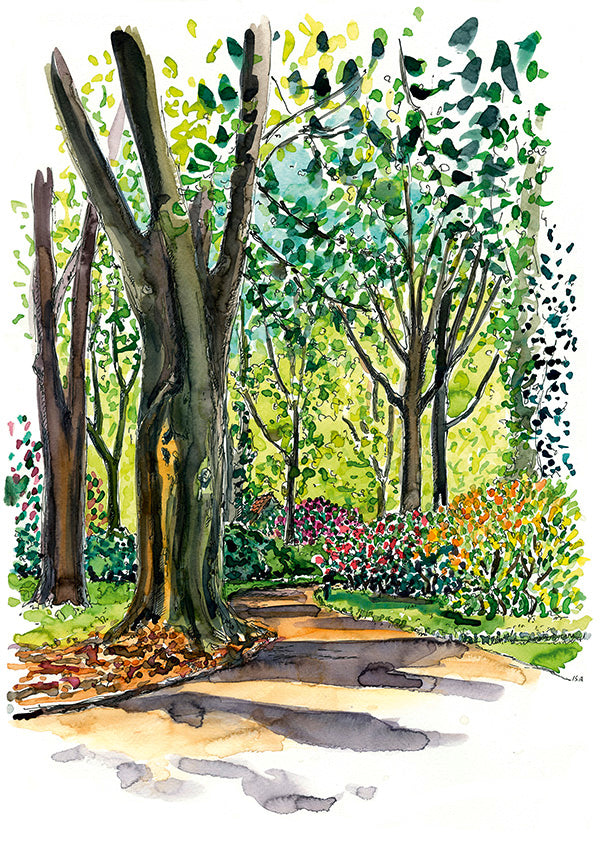 Postkarte Rhododendronpark Bremen