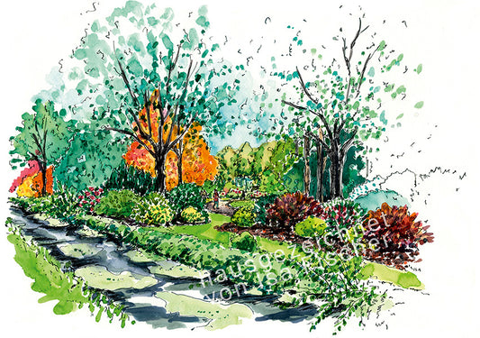 Originalzeichnung Rhododendronpark