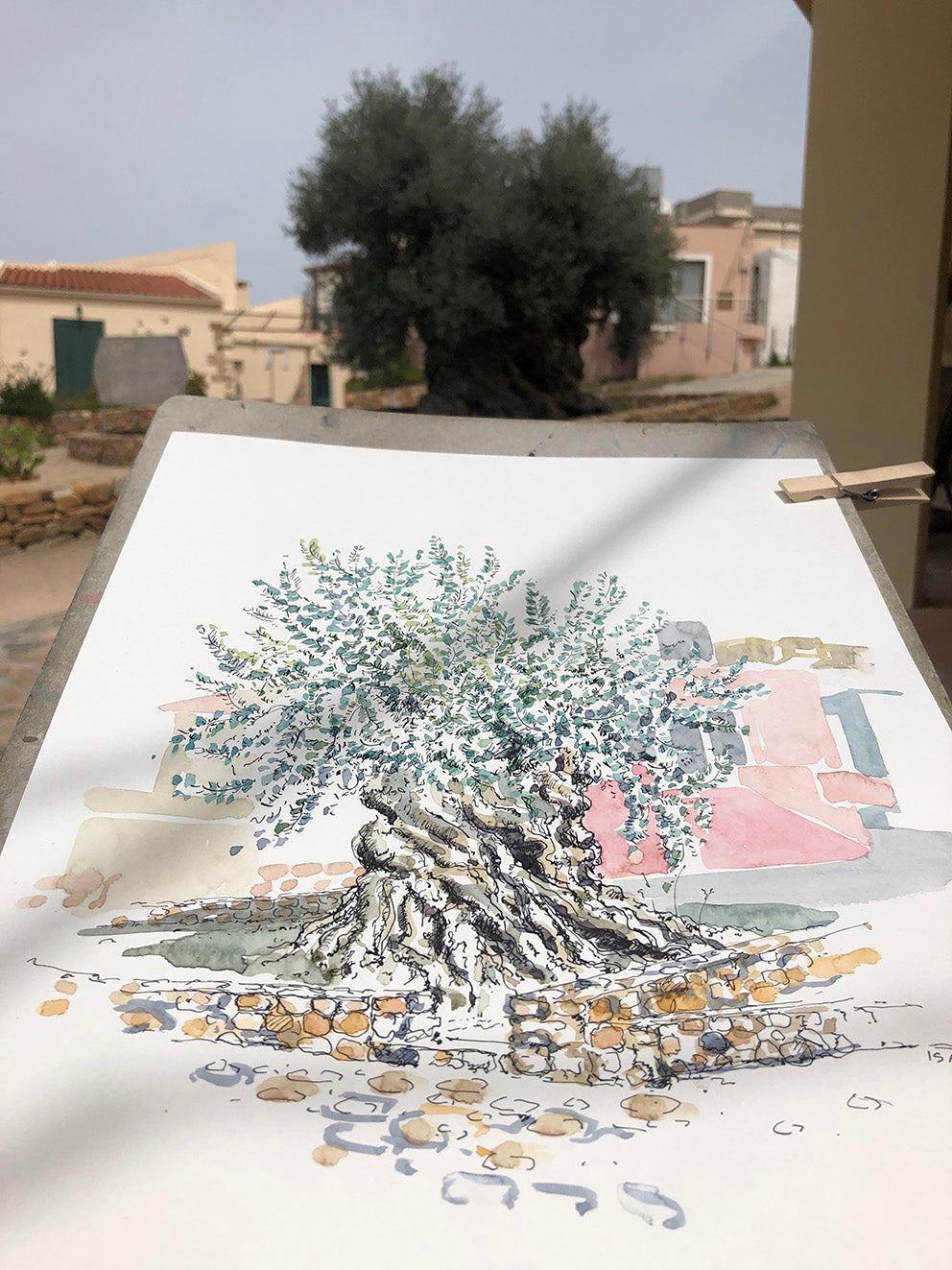 Originalzeichnung "Olivenbaum Ano Vouves Kreta"